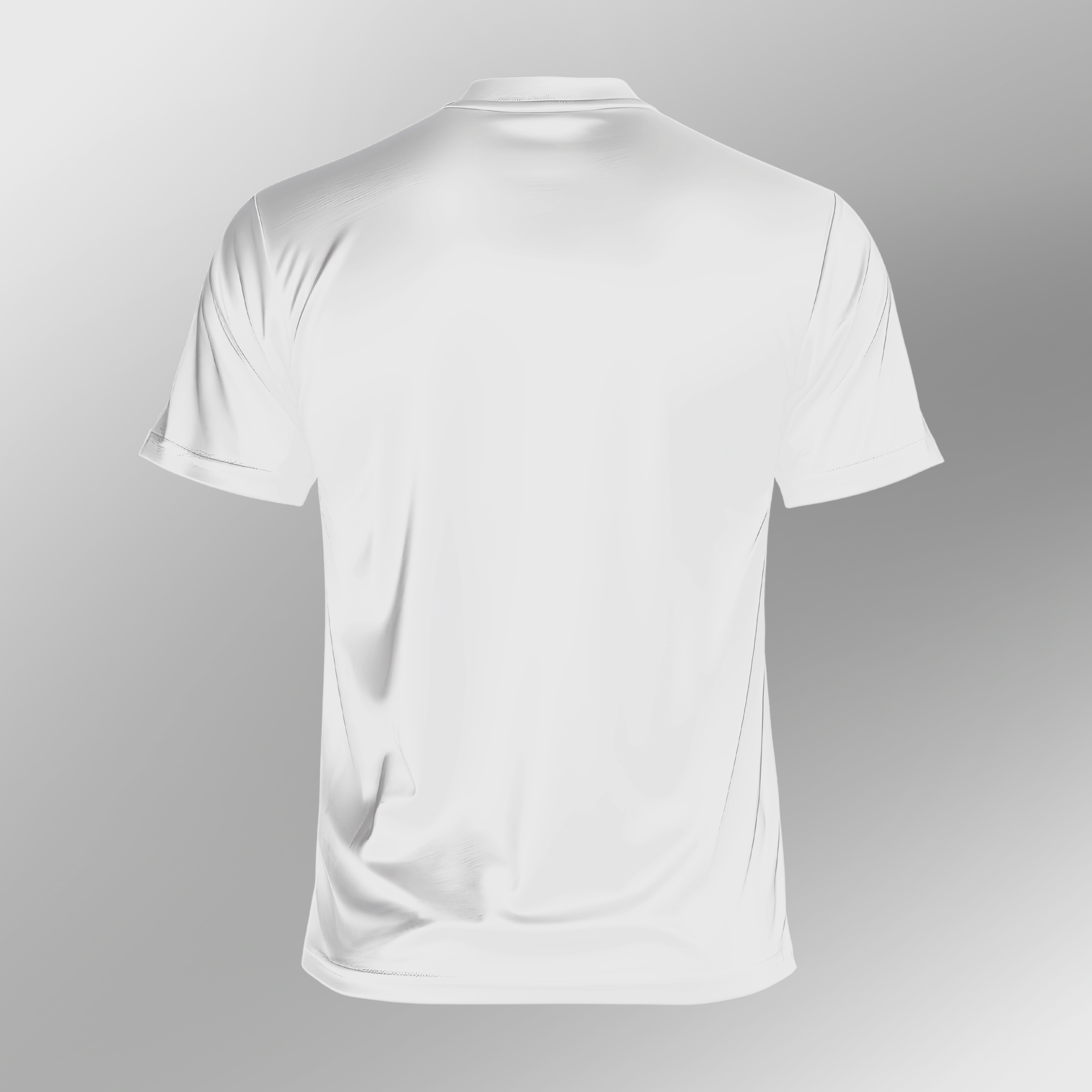Camiseta (costas)