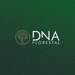 Corrida e Caminhada DNA Florestal